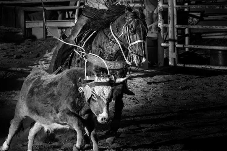 Event organisers’ duty of care where there is obvious risk of injury